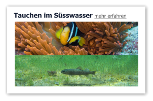 Tauchen im Süsswasser mehr erfahren