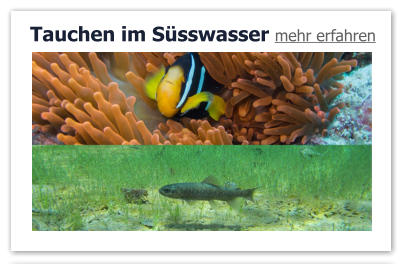 Tauchen im Süsswasser mehr erfahren